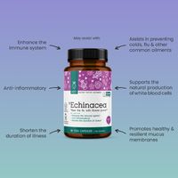 BEET Goodness Echinacea